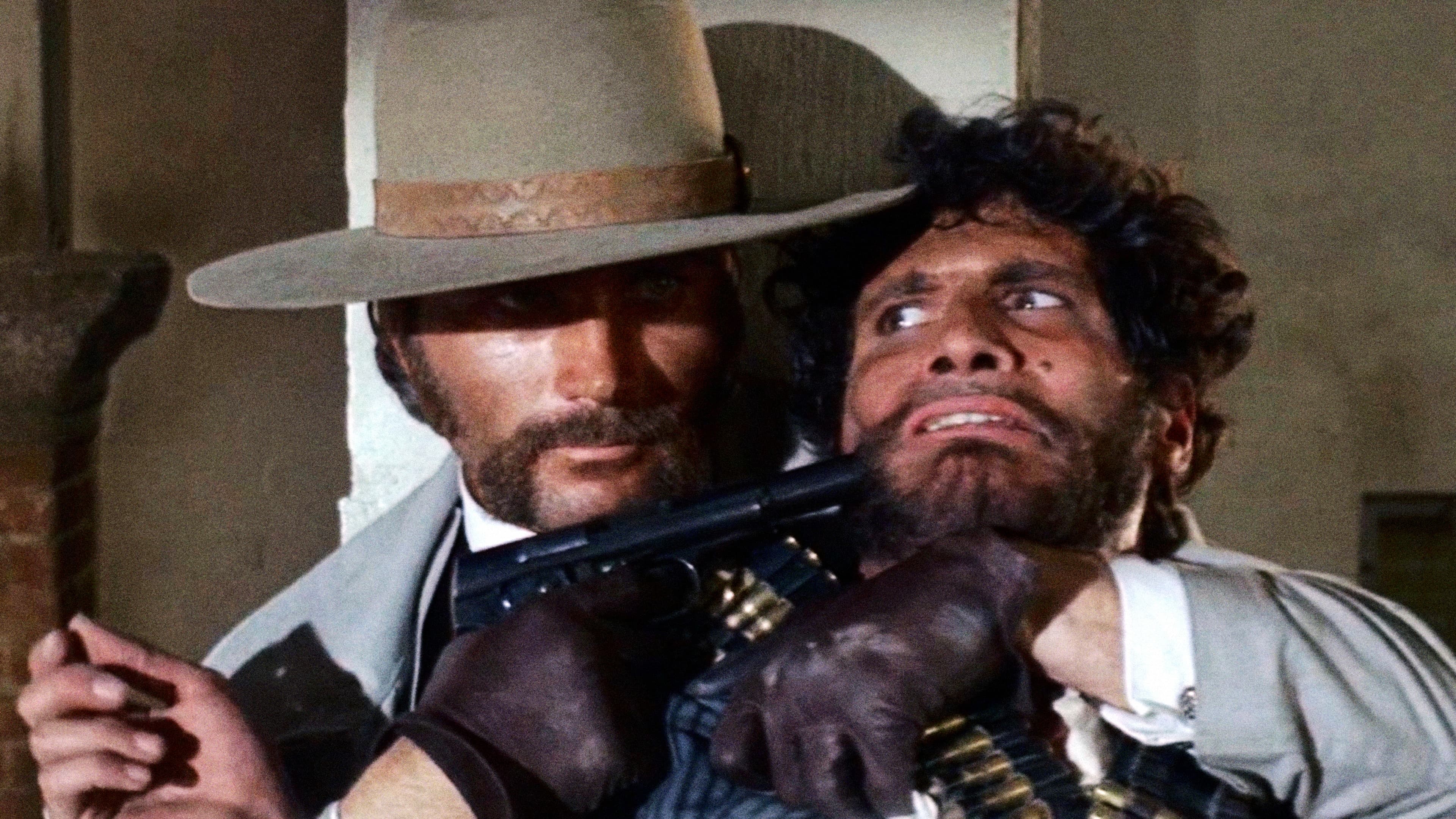 표범 황혼에 떠나가다