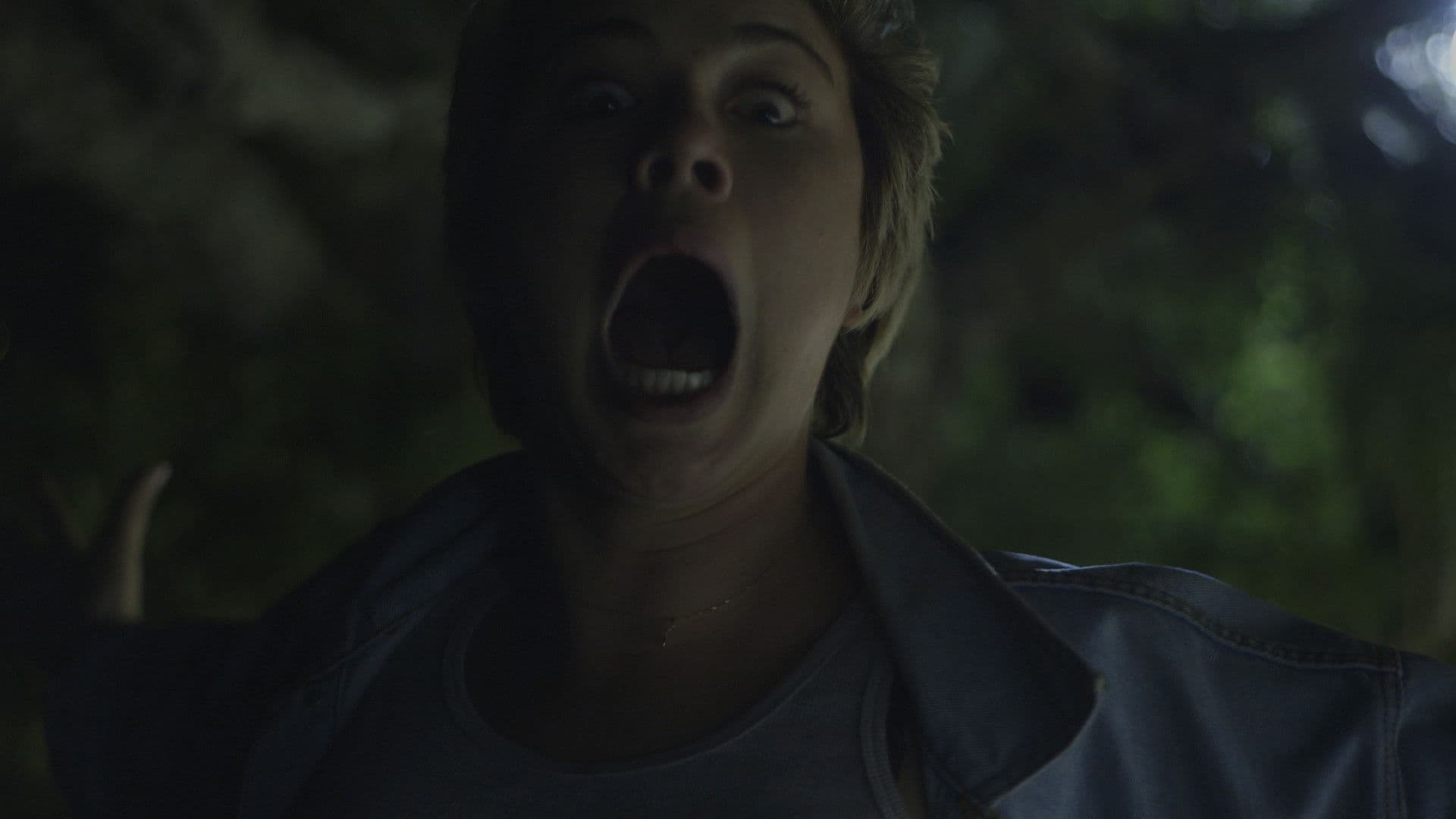 Os Demônios de Virgínia