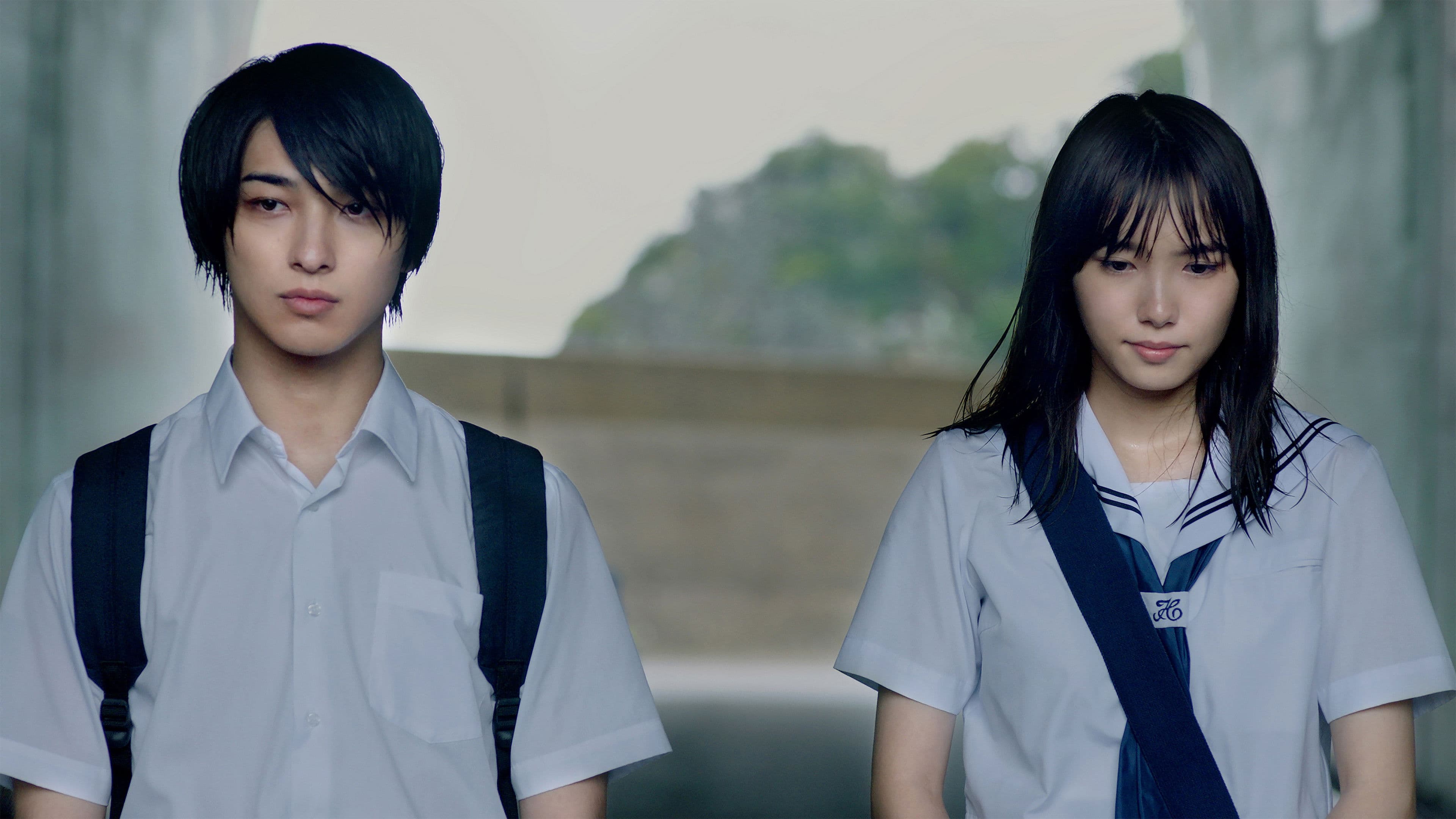 사라져라, 군청