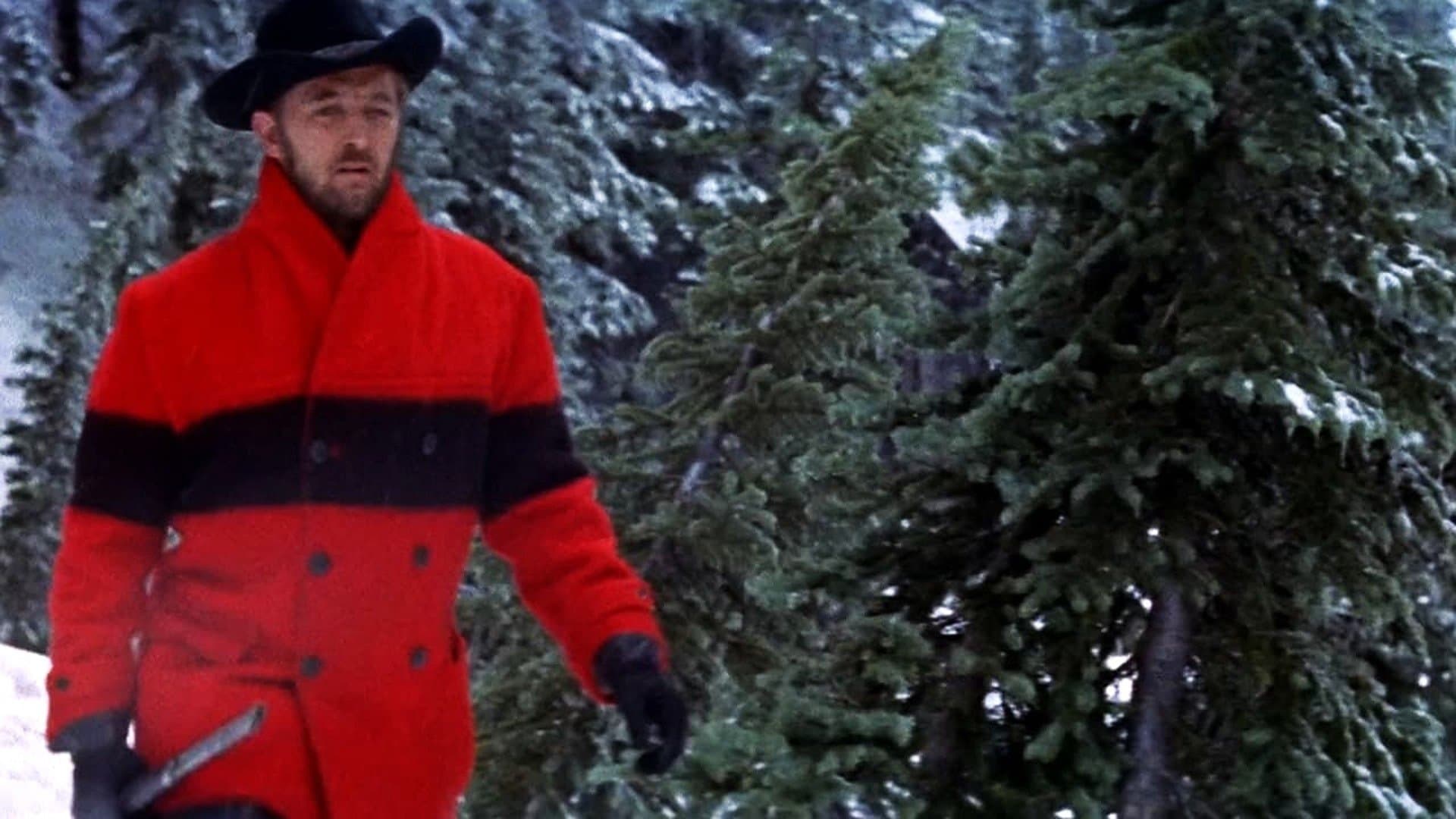 트랙 오브 더 캣