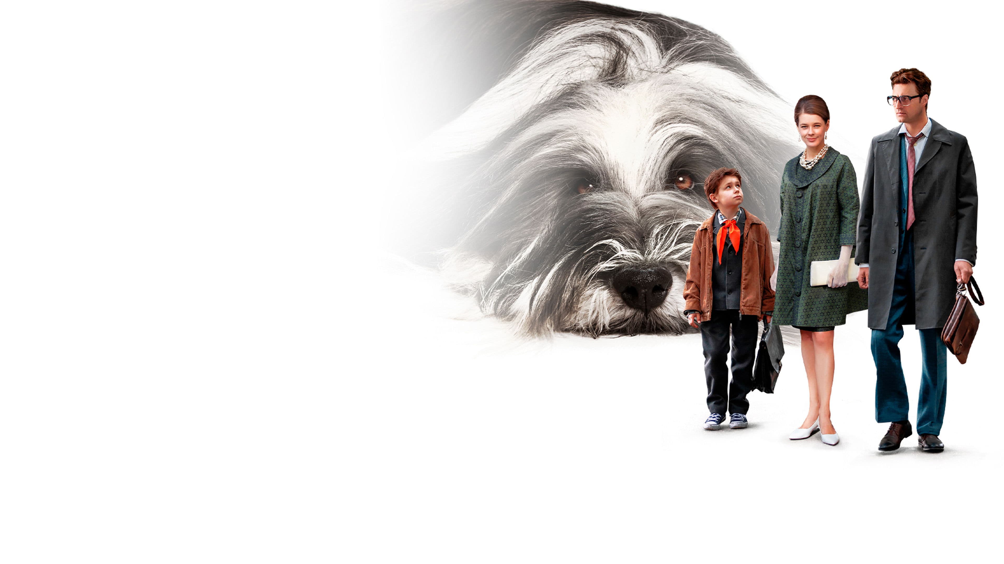 Каждый мечтает о собаке