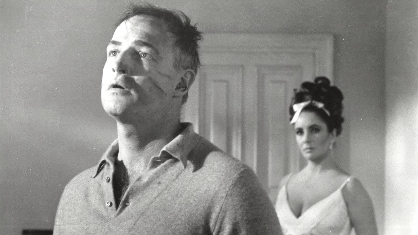 황금 눈에 비친 모습