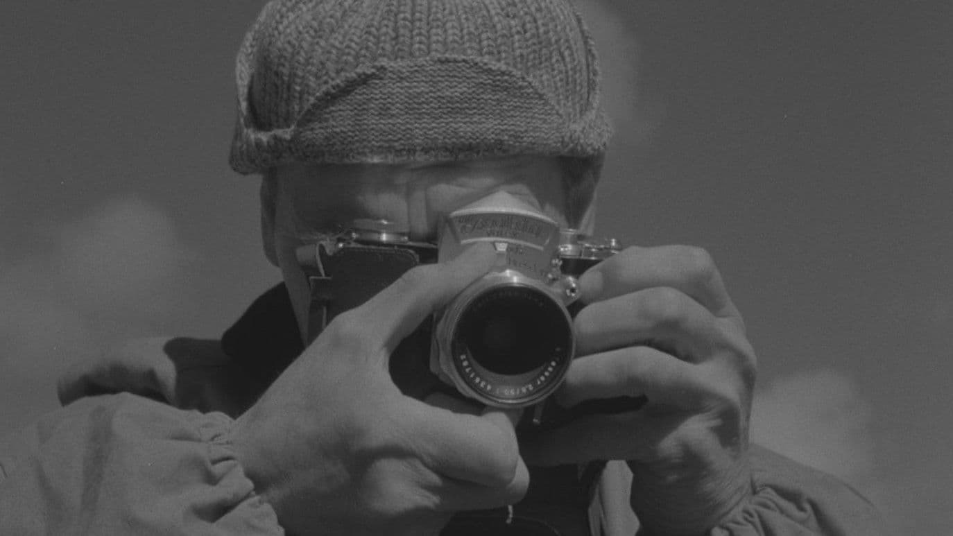 Niewyraźny klekot ptaków