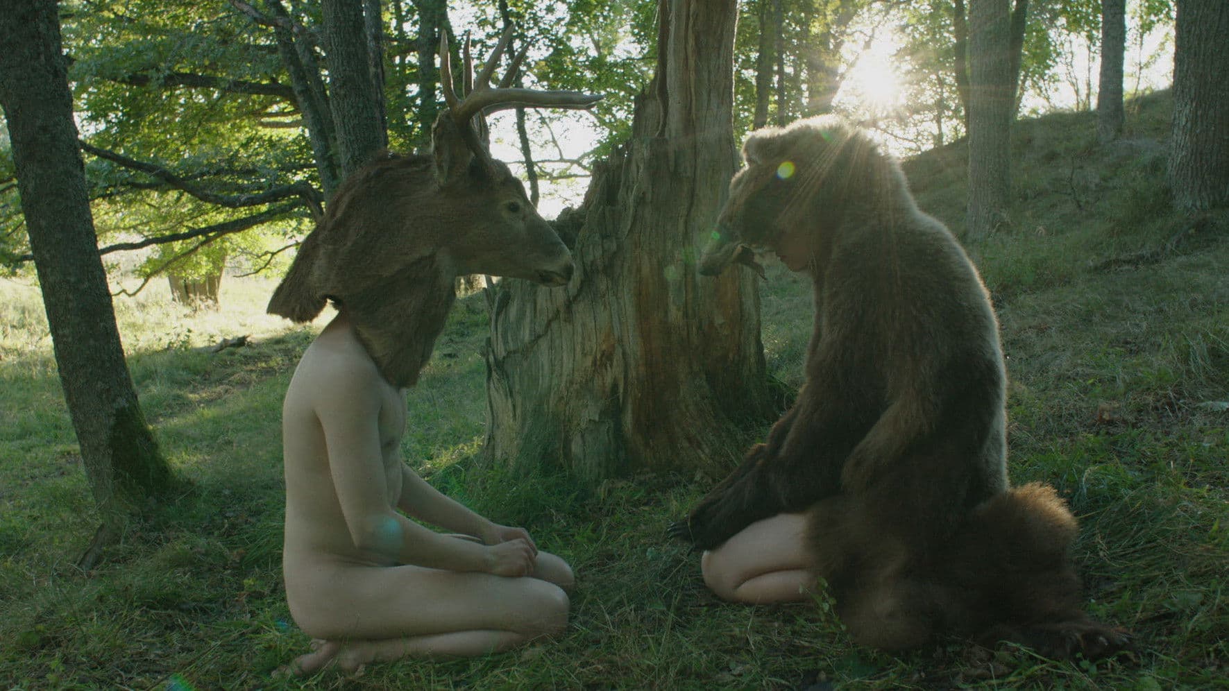 그들은 탈출했다