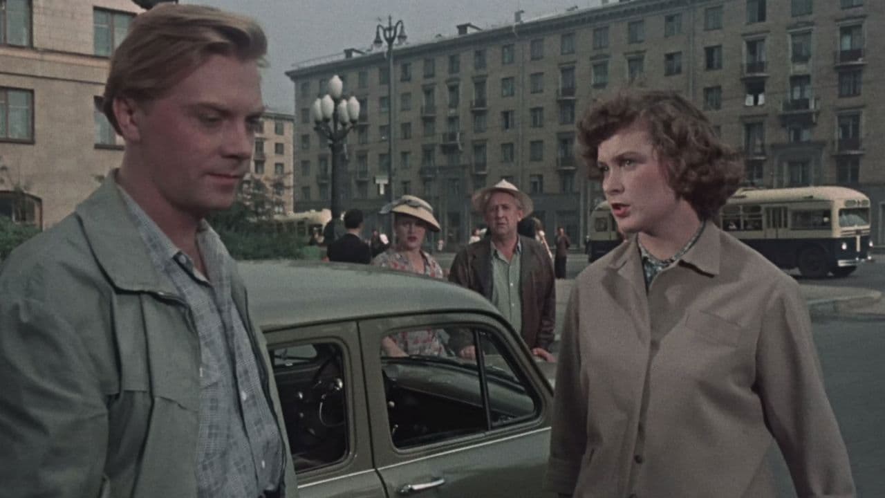 К Черному морю