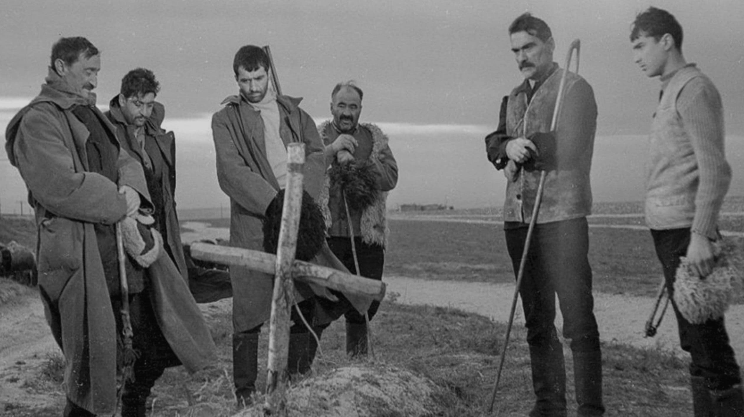 თეთრი ქარავანი