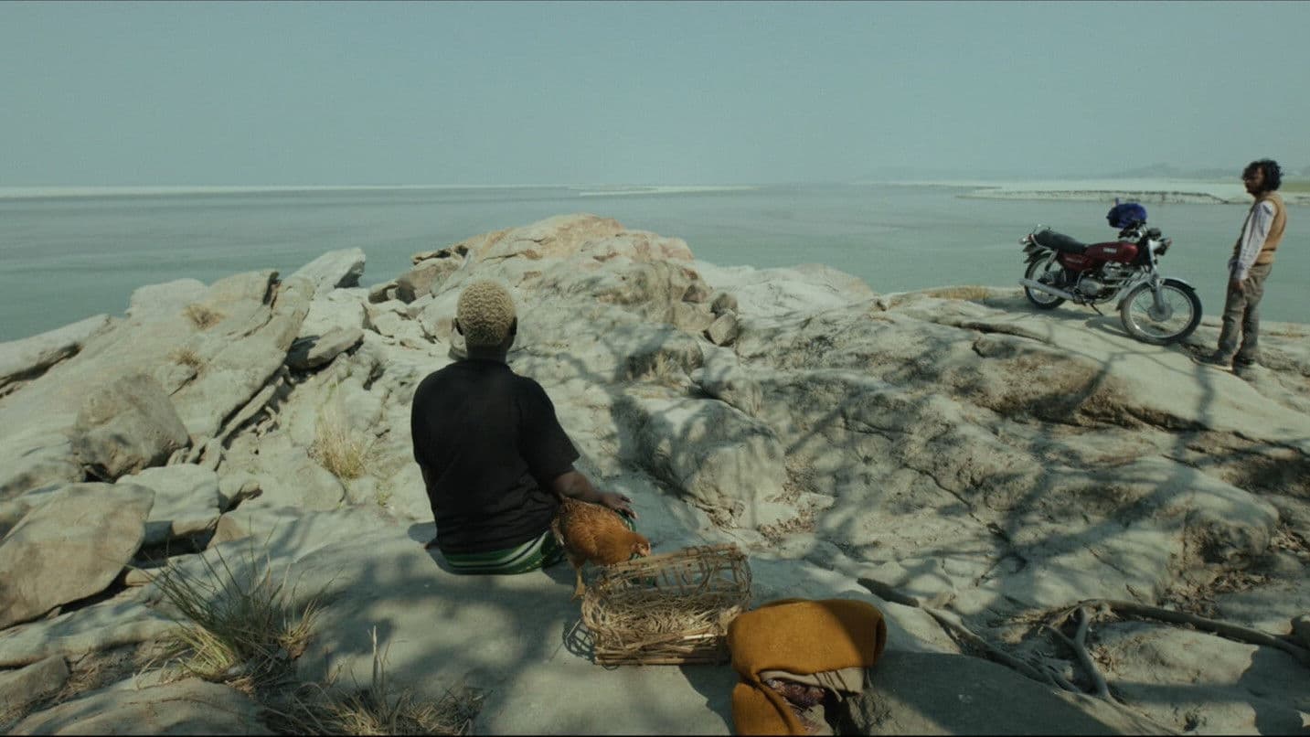 콕콕콕, 코코콕