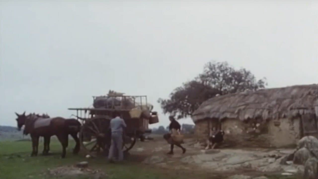 더 홀리 이노센츠