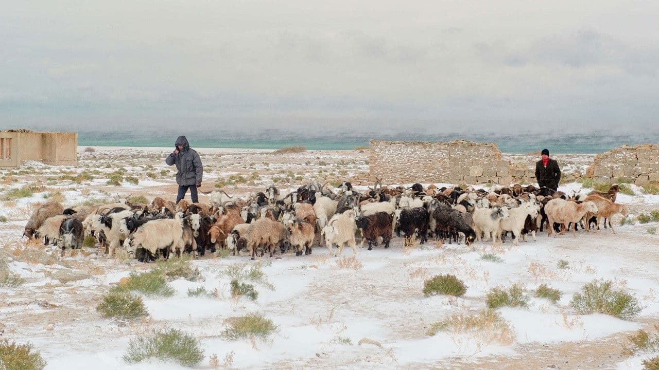 I sogni del lago salato