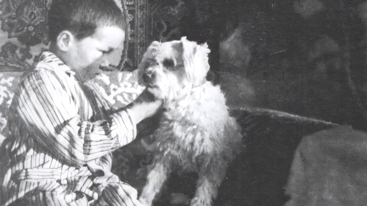 Толбот хивс