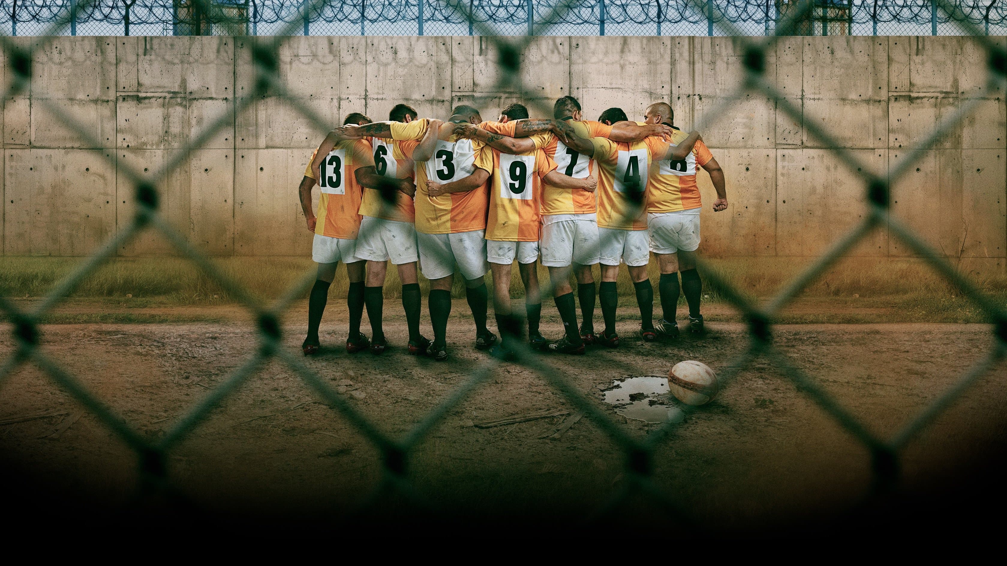 Espartanos. Una historia real