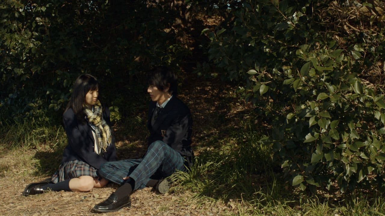 욕망의 코스프레