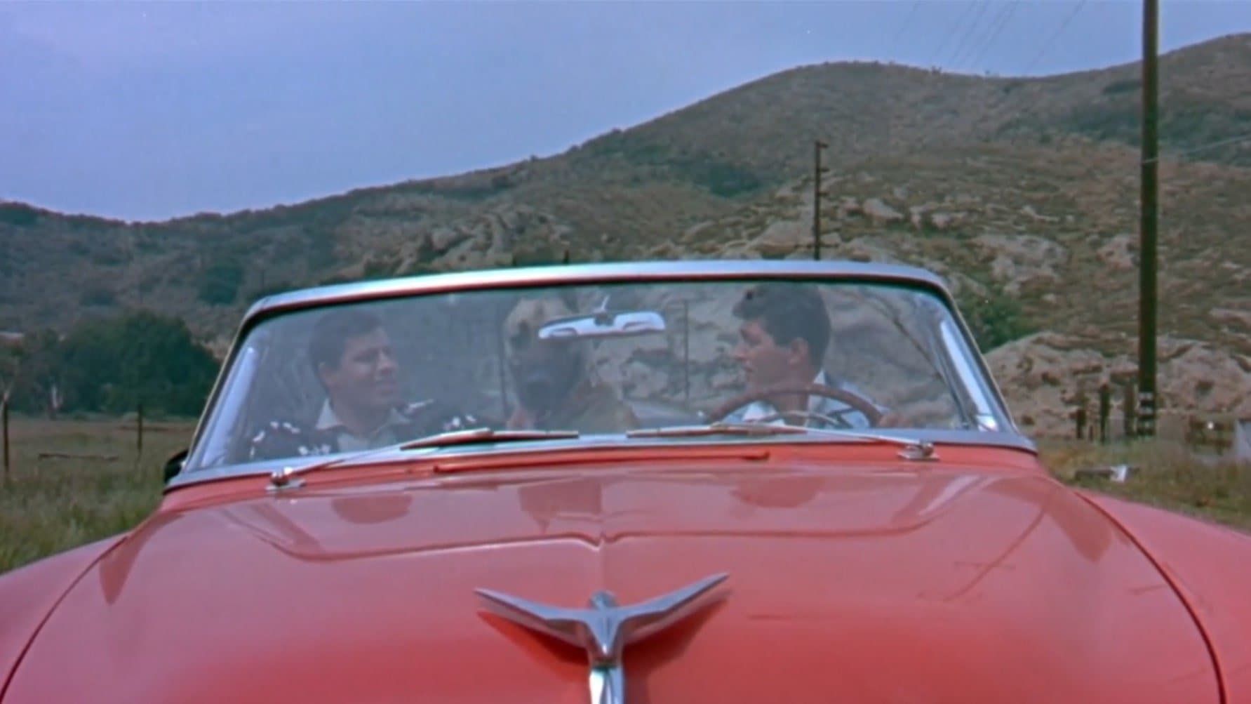 할리우드로 갑시다