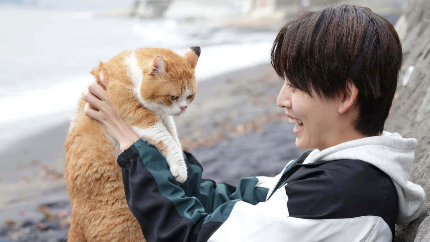 海岸通りのネコミミ探偵