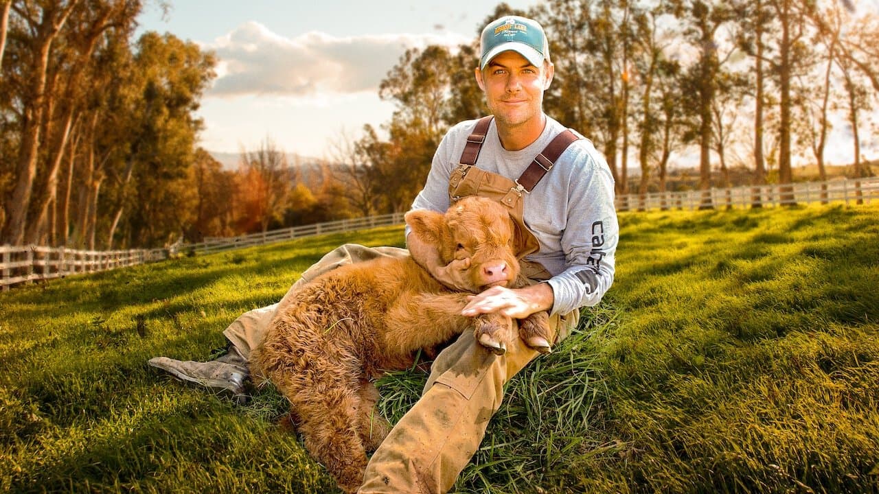 위대한 작은 농장