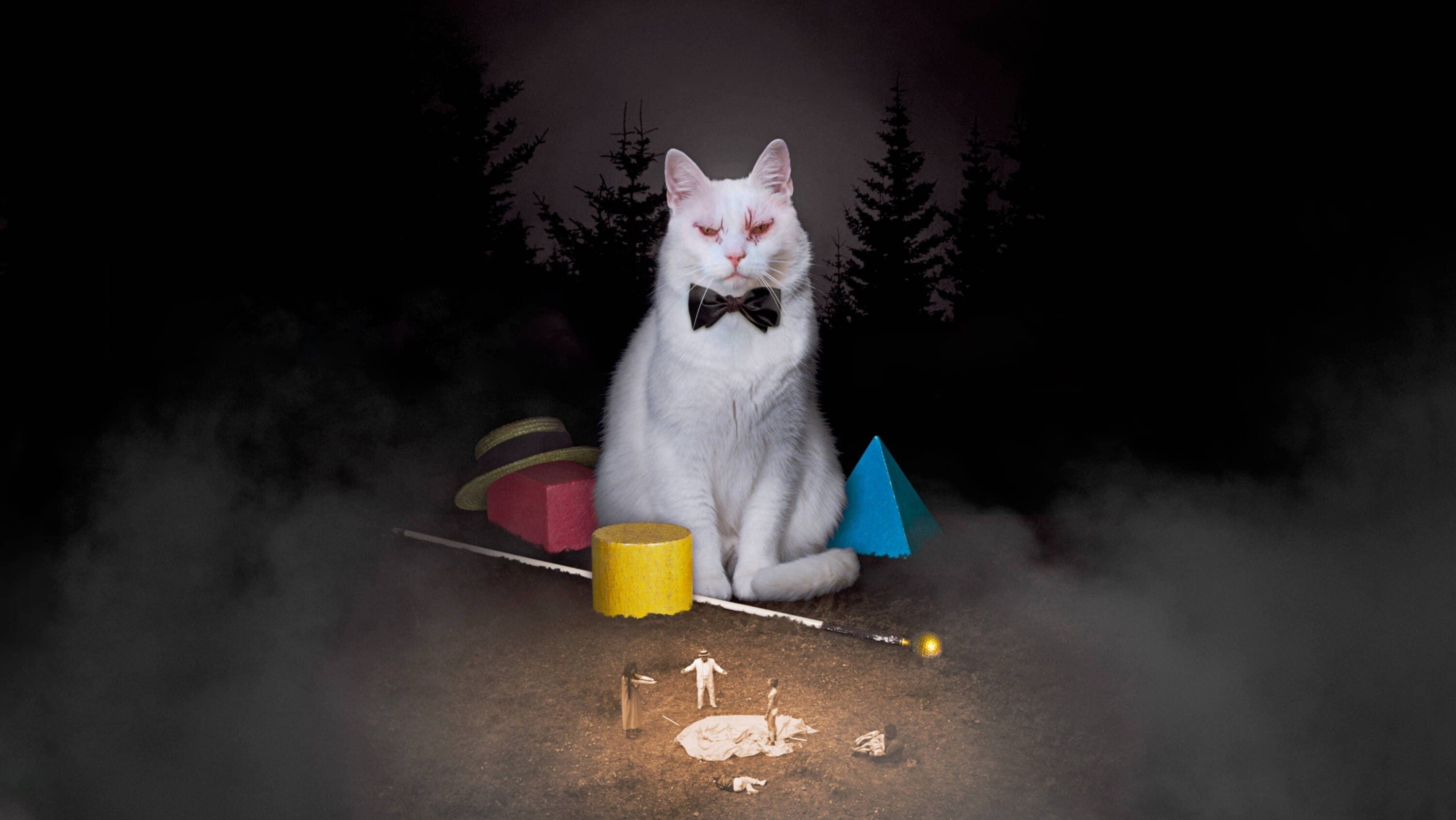 코코-디 코코-다