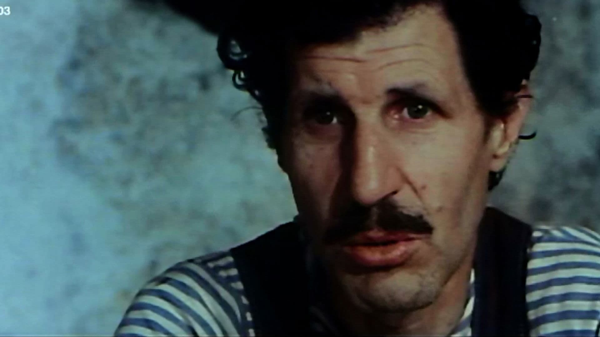 I due figli dei Trinità