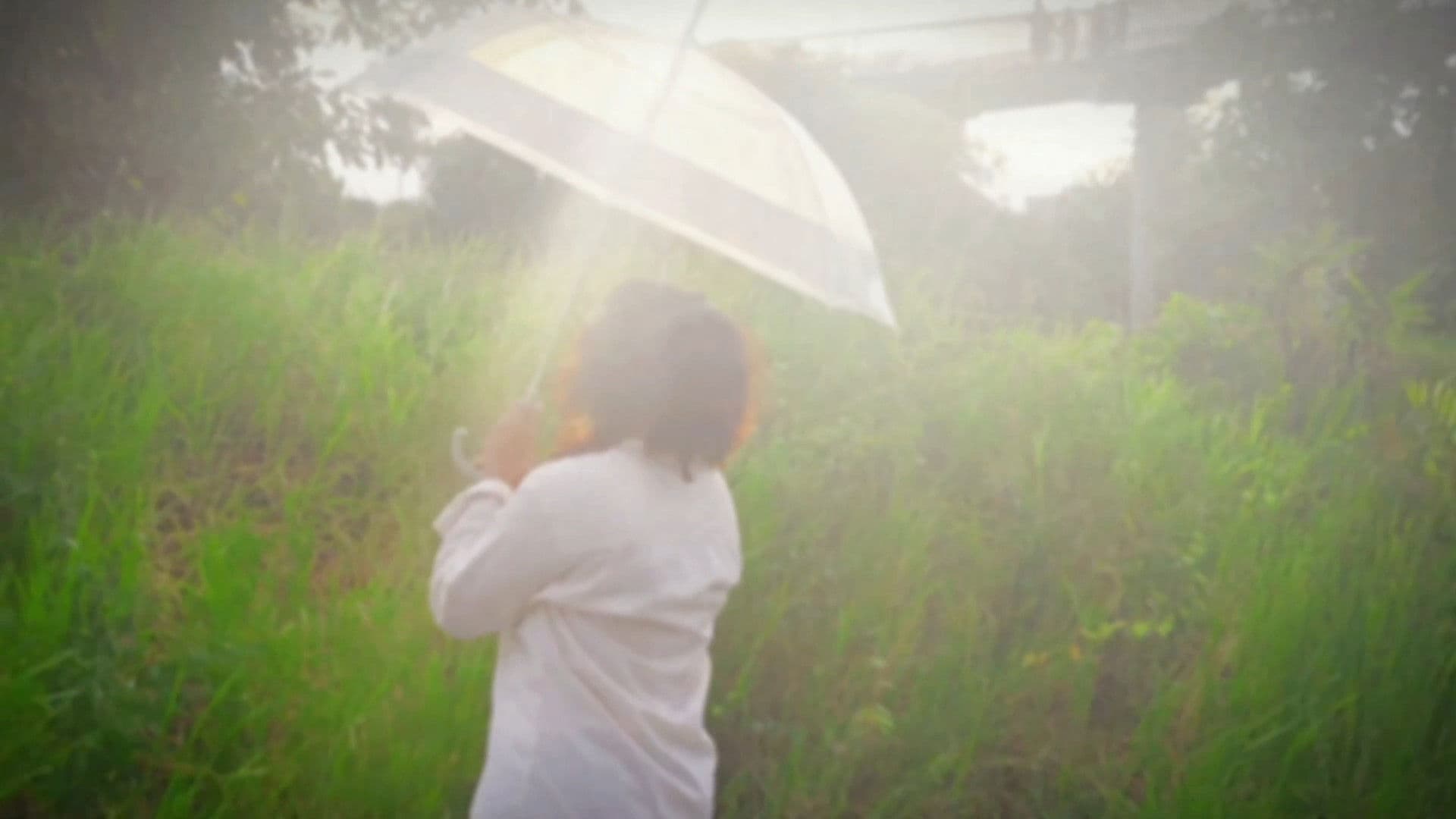 ณ ที่ซึ่งยังคงดำรงอยู่ในอันธการ