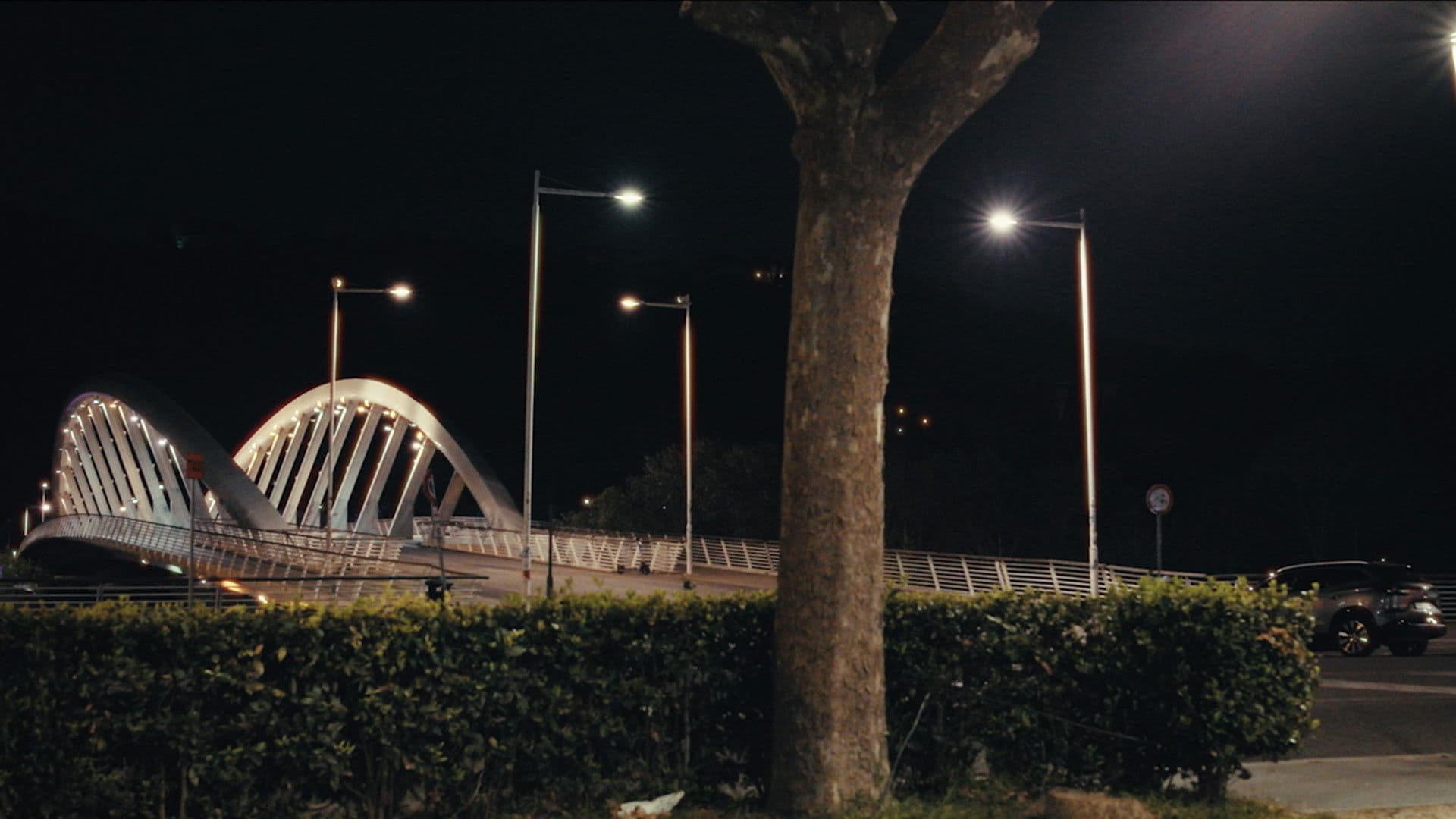 Come noi non c'è nessuno