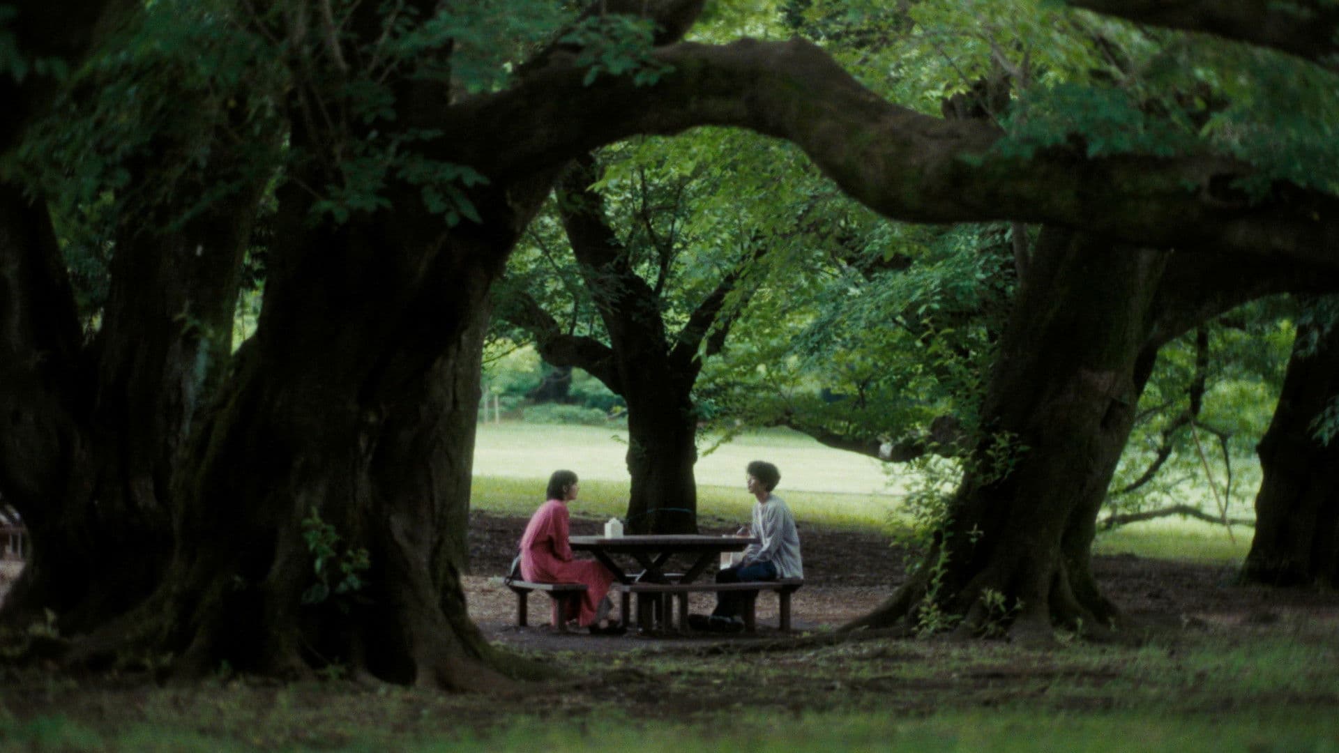 고양이를 놓아줘