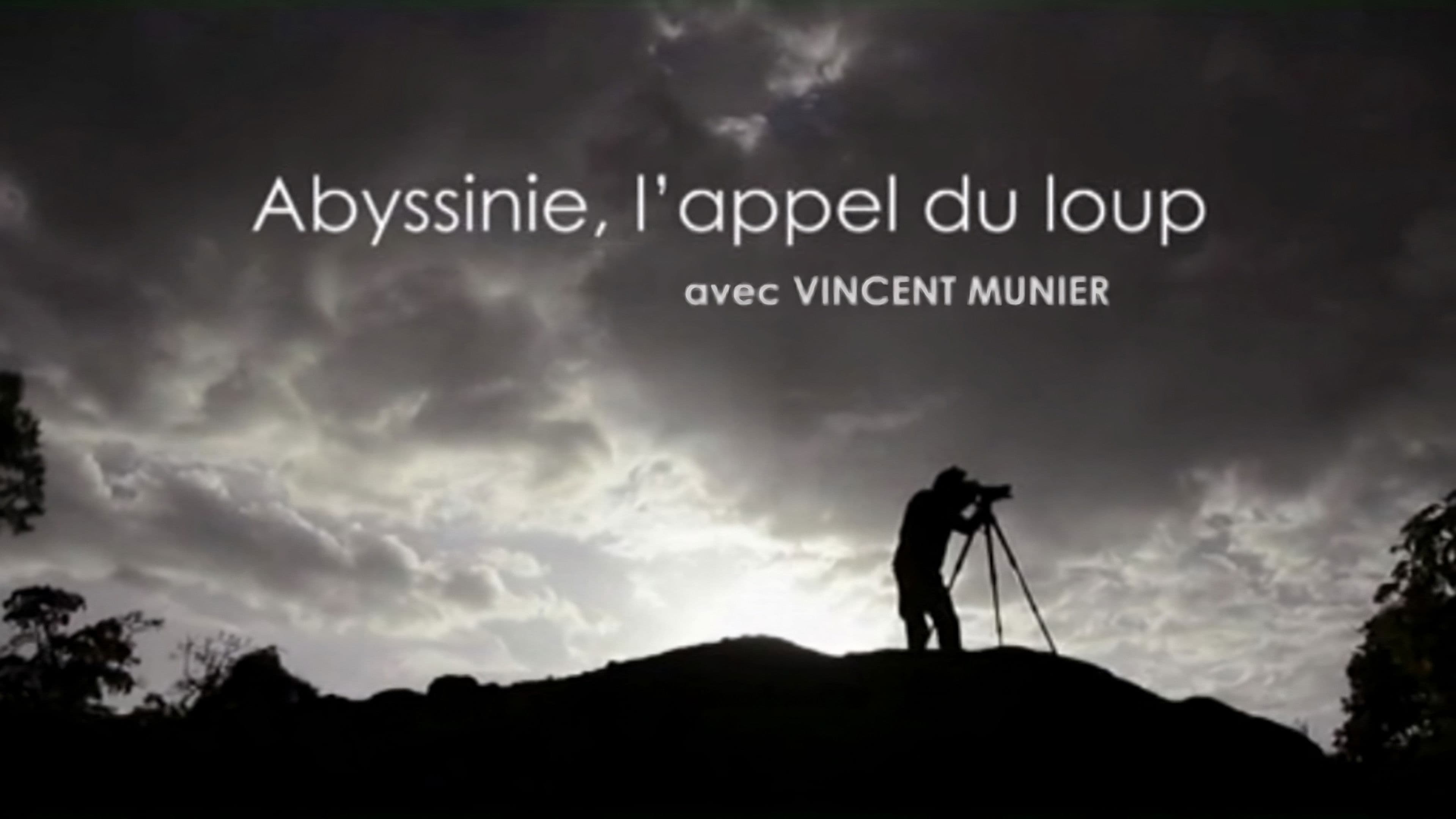 Abyssinie, L'appel Du Loup