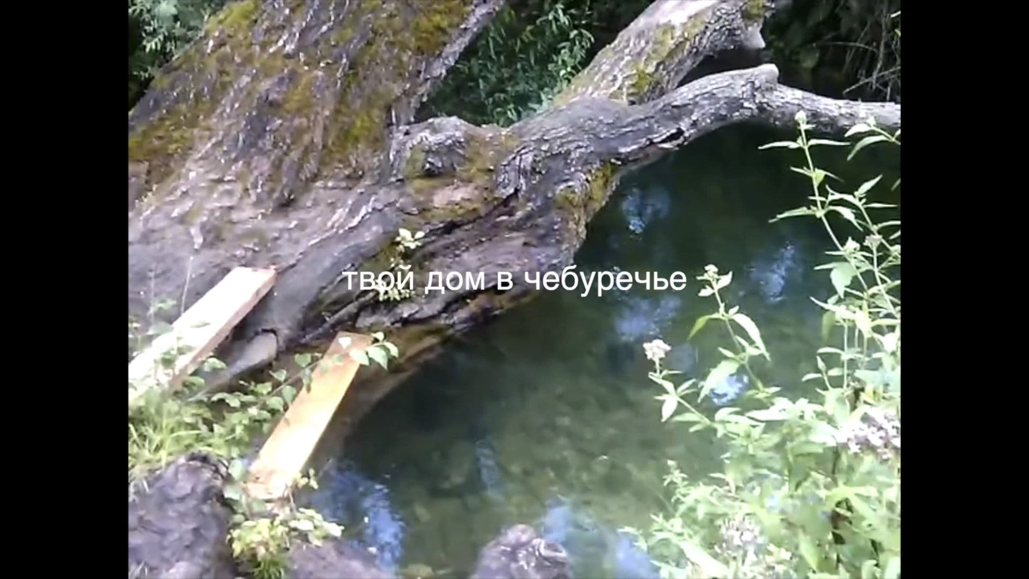 твой дом в Чебуречье