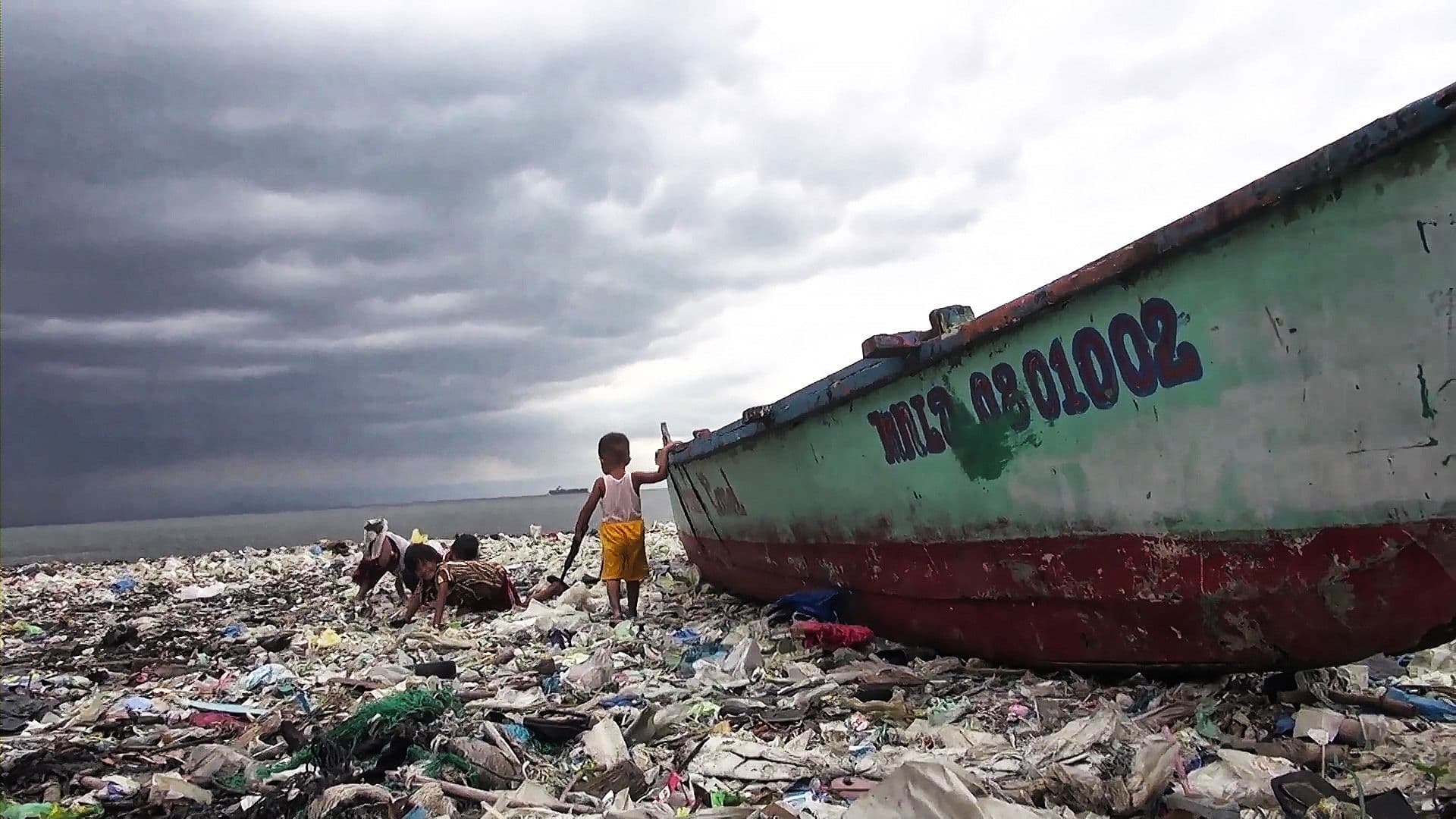 바세코의 아이들
