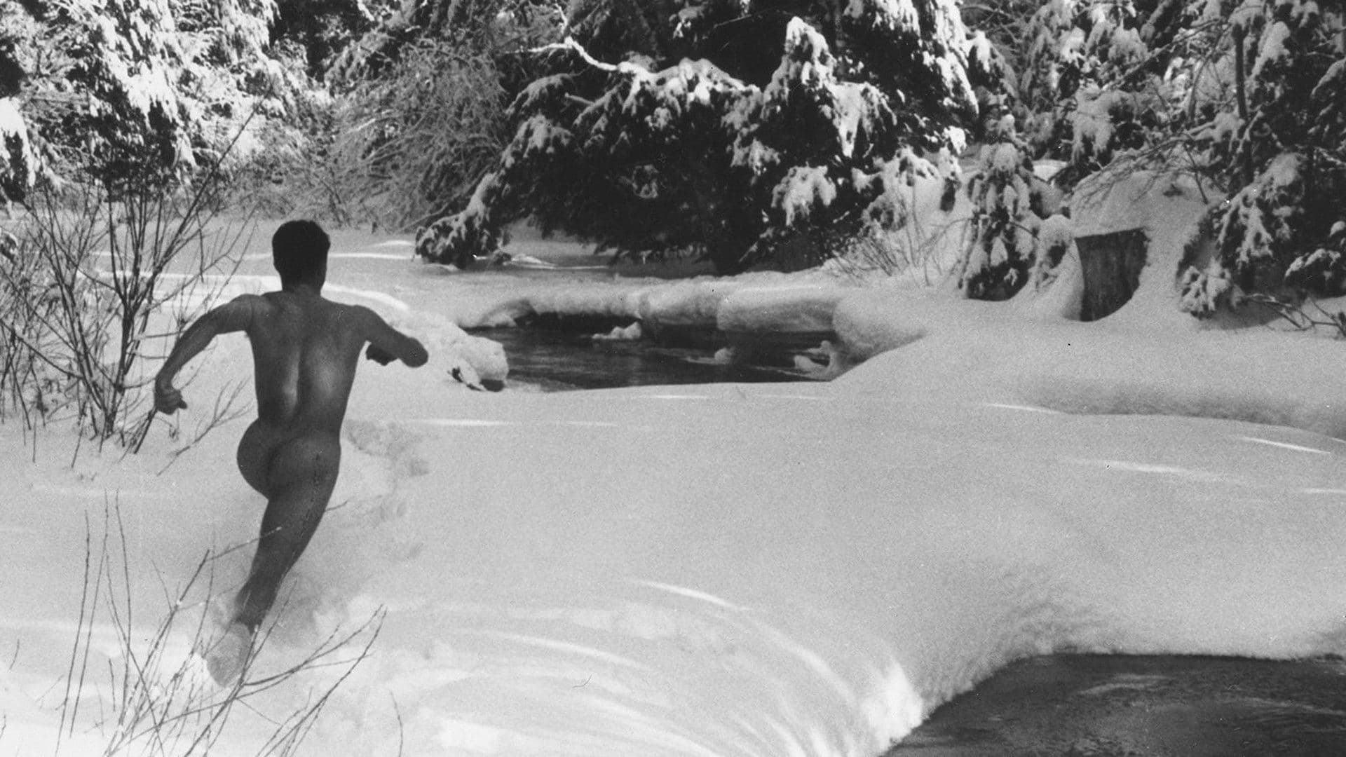 할렐루야 더 힐스