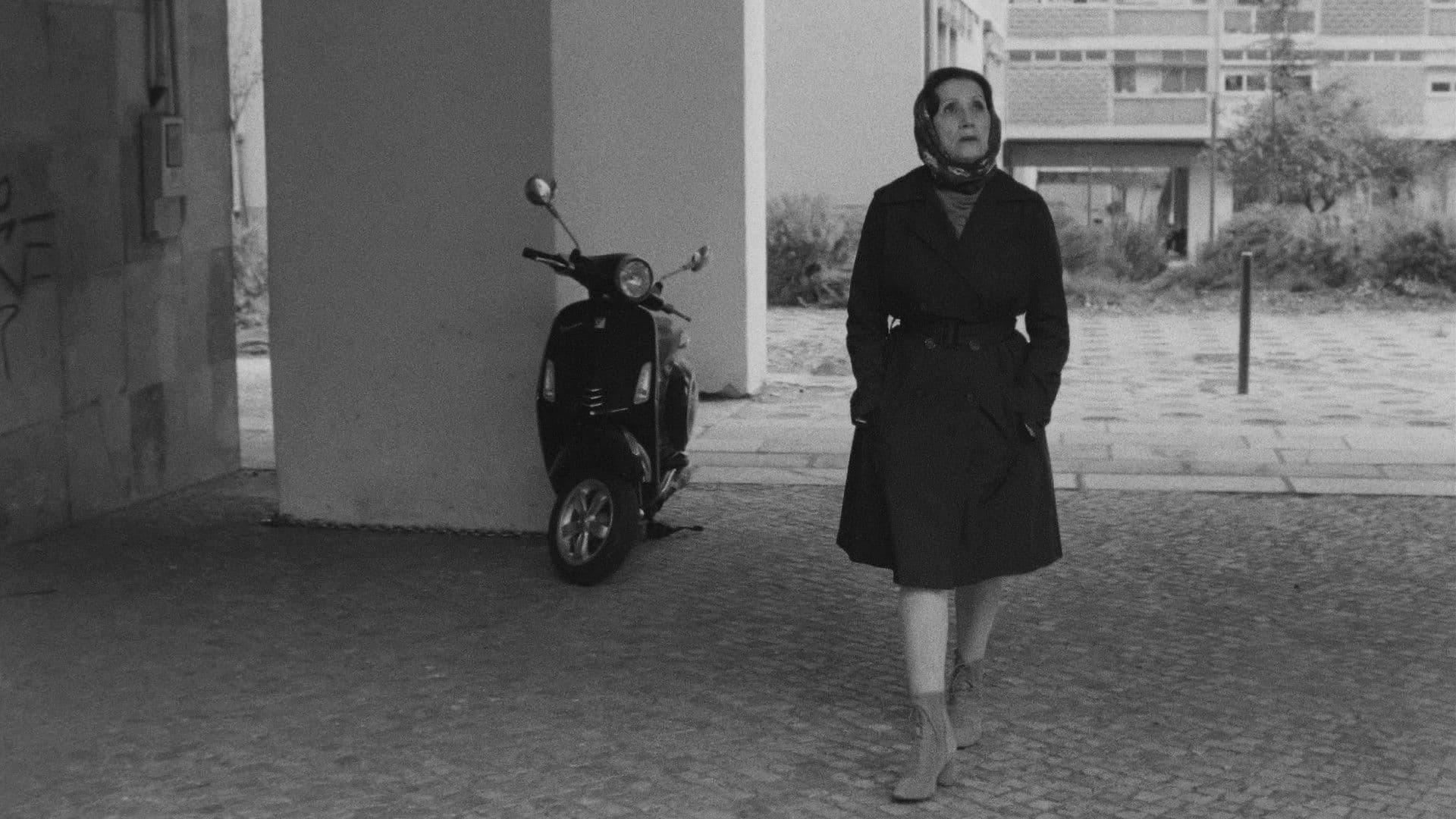 이 거리는 어디에 있나요?