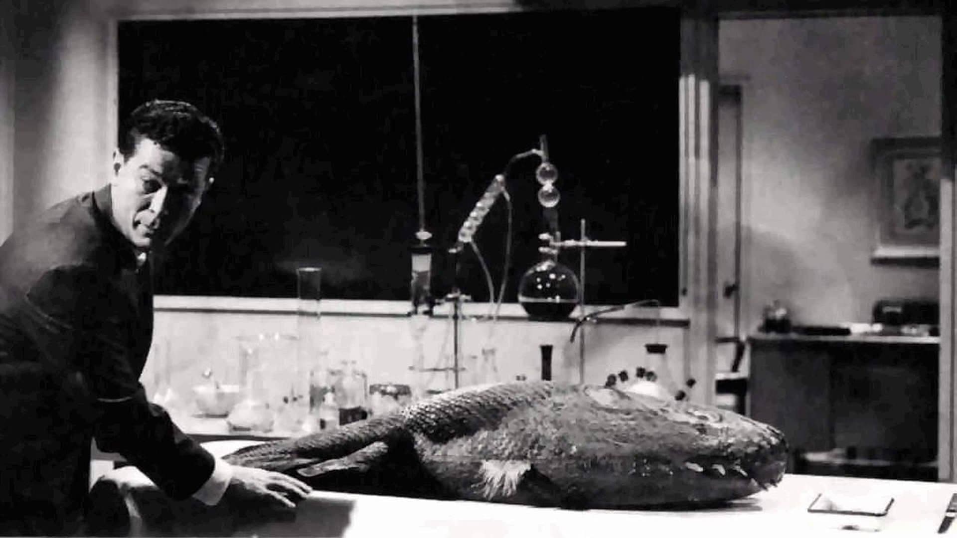 몬스터 온 더 캠퍼스