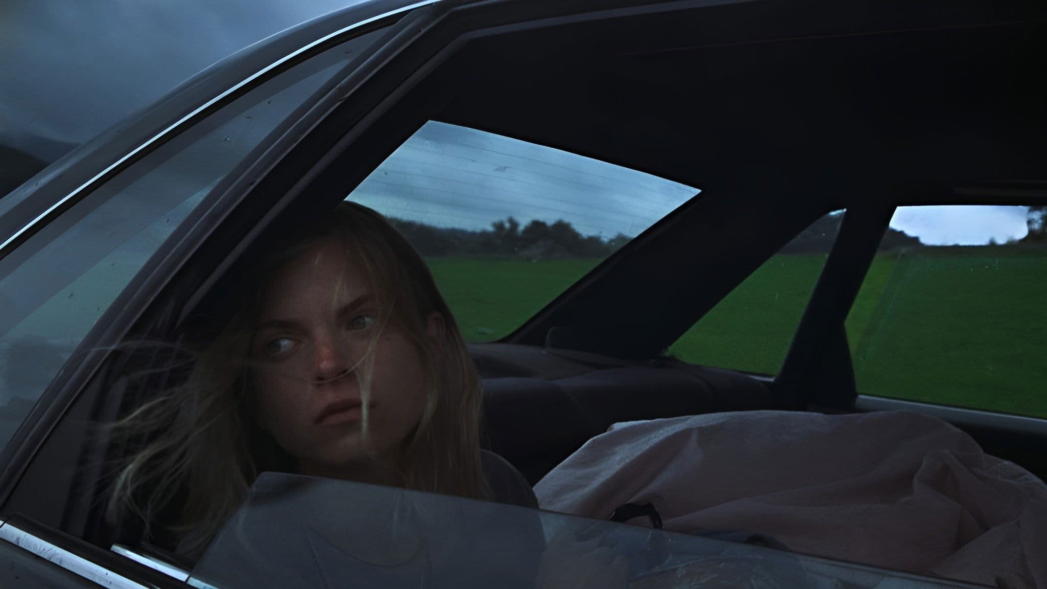 Zza szyby podglądam jak umiera sarna, młoda