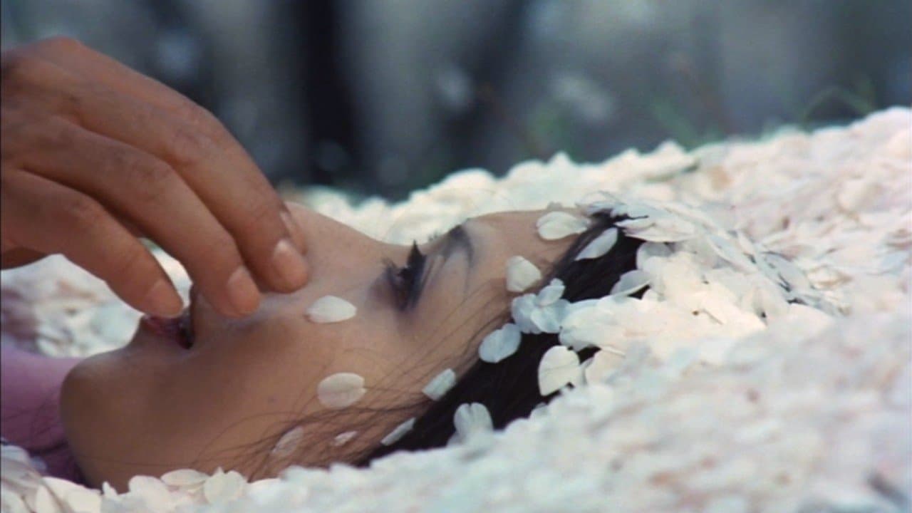 만개한 벚나무 숲 아래