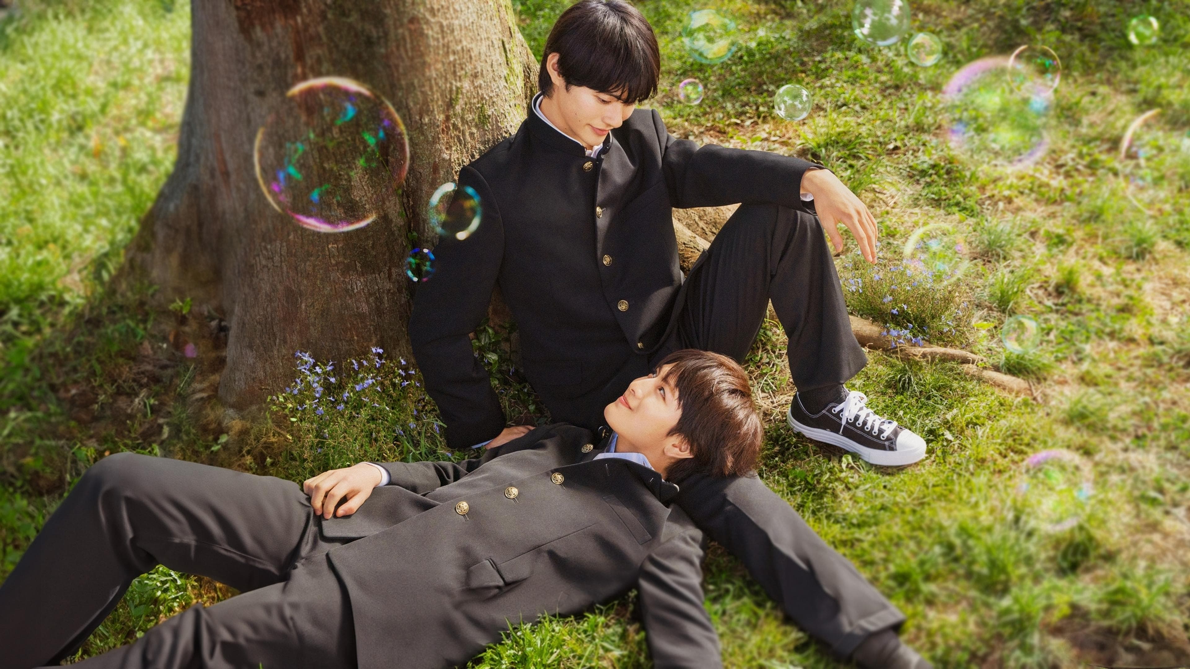 너에게는 닿지 않아