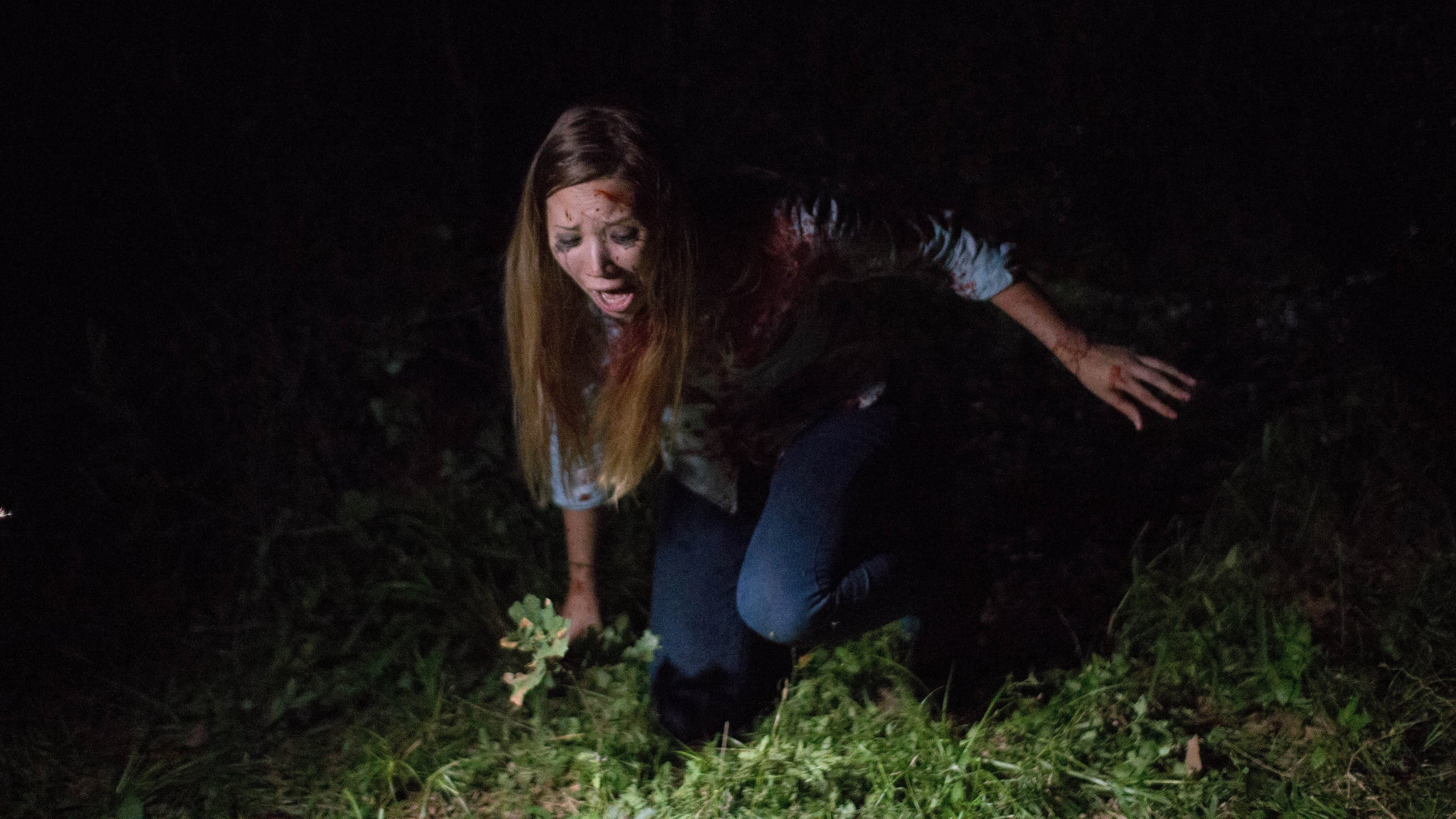 파운드 풋티지 3D