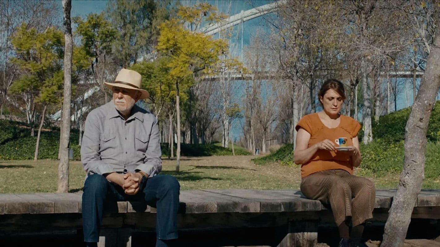 Una Elefanta sobre la tela de una Araña