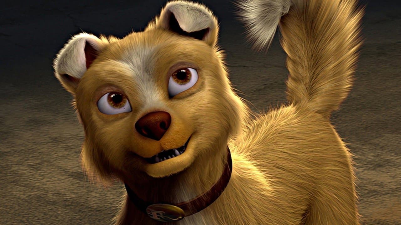 집 없는 강아지 로미오