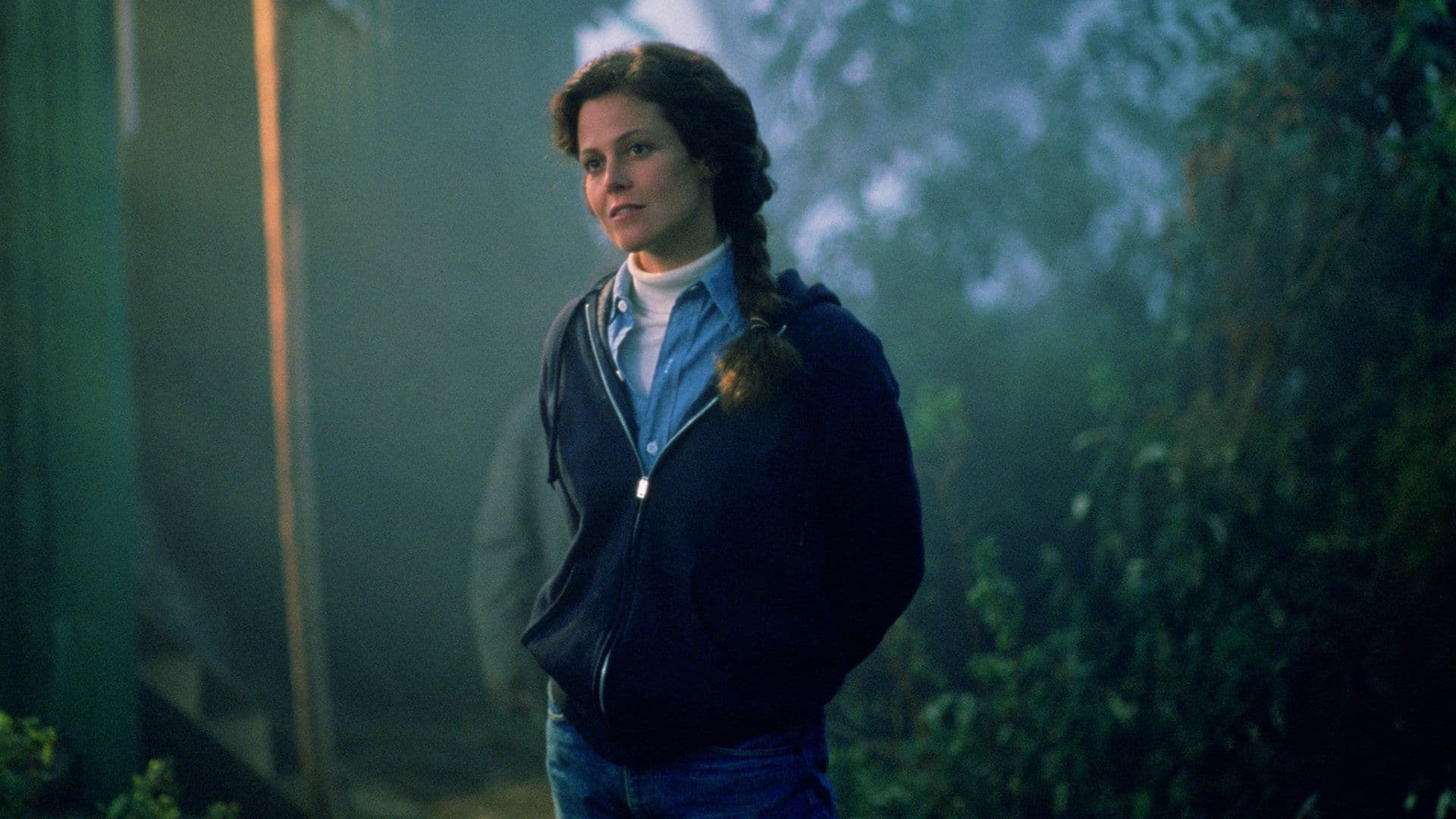 정글 속의 고릴라