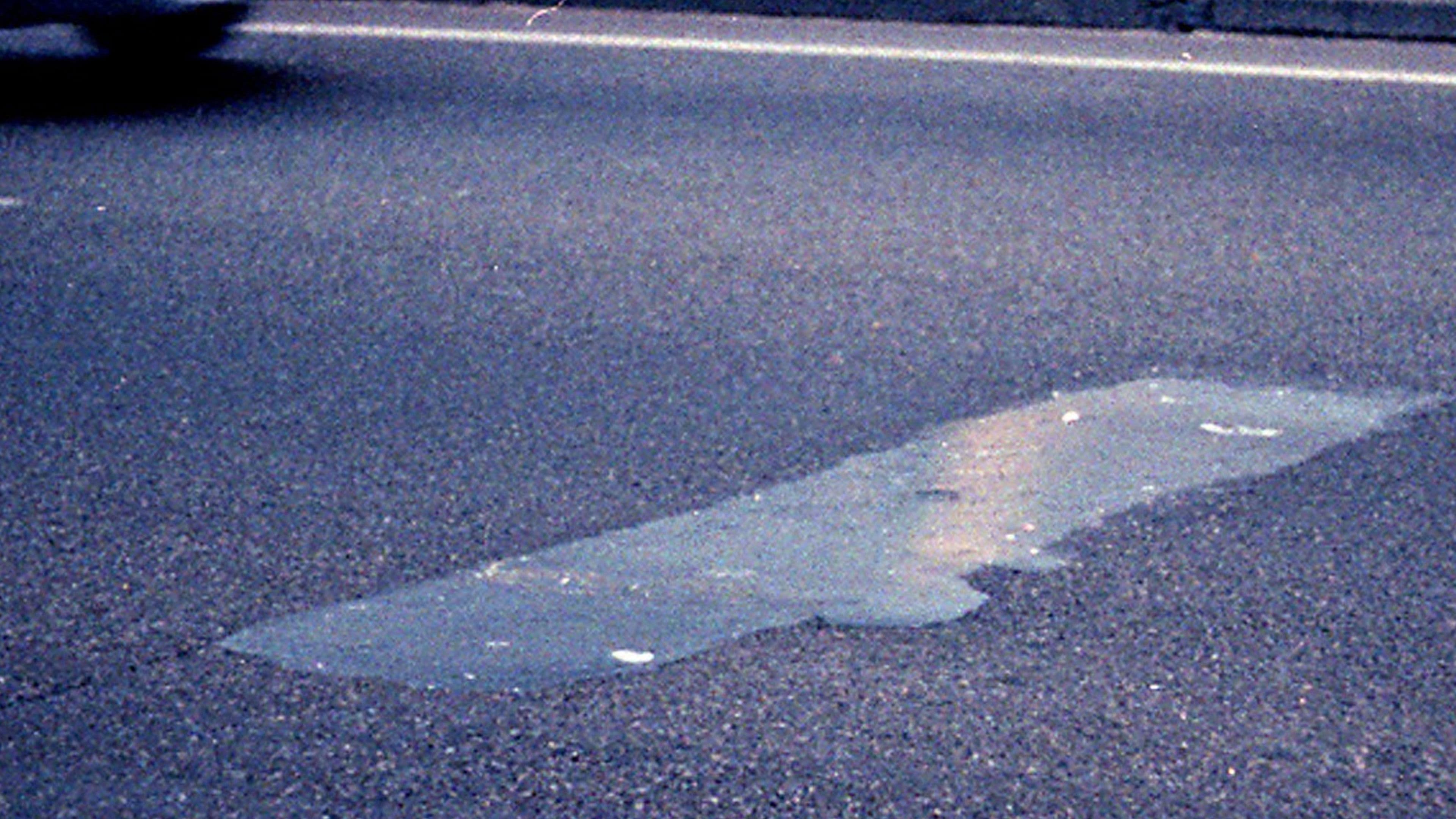 모든 문명의 기록