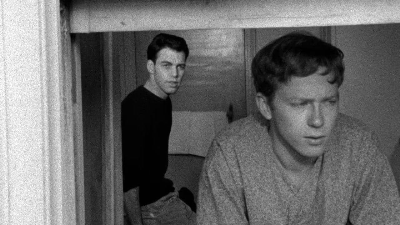 겨울은 오히려 따뜻했다