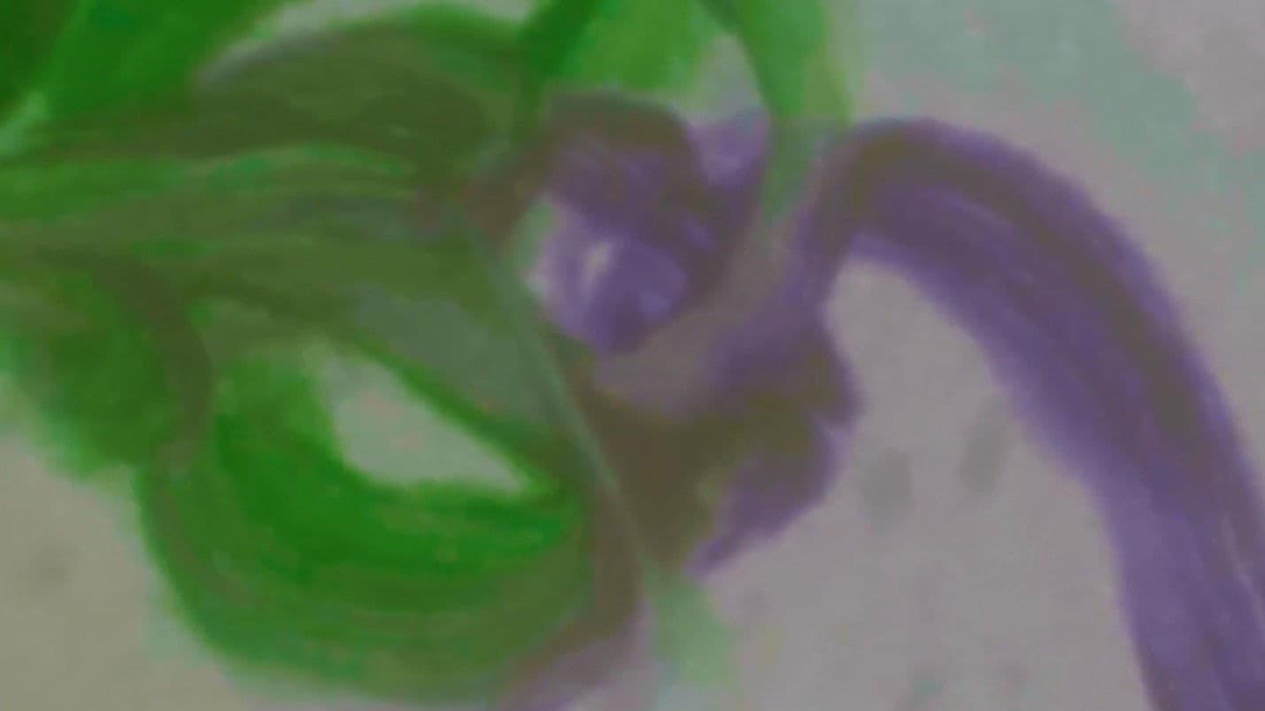 My Heart Beats For You