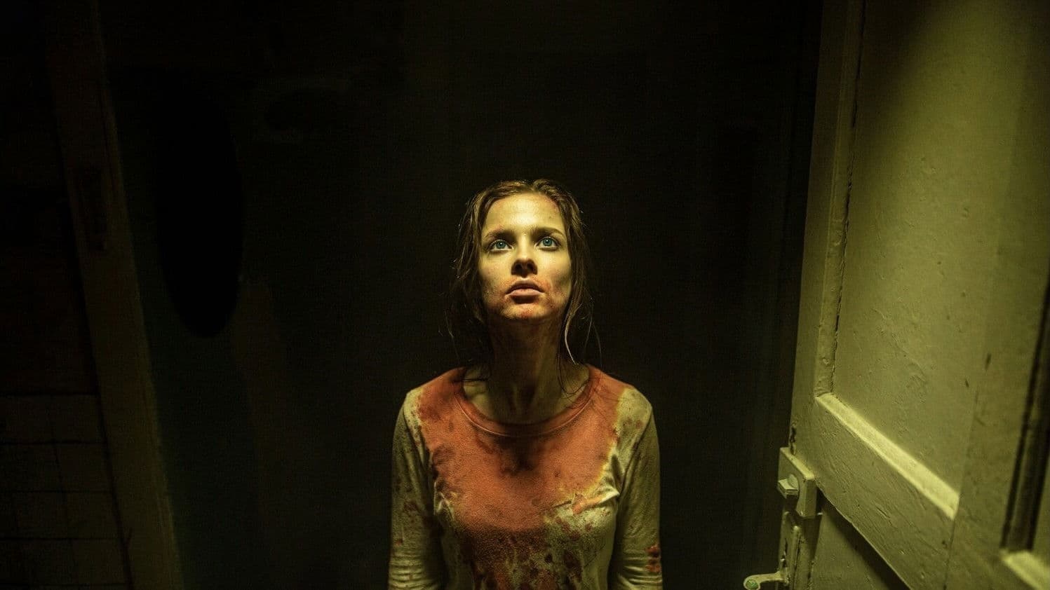 마터스: 잠들지 않는 눈