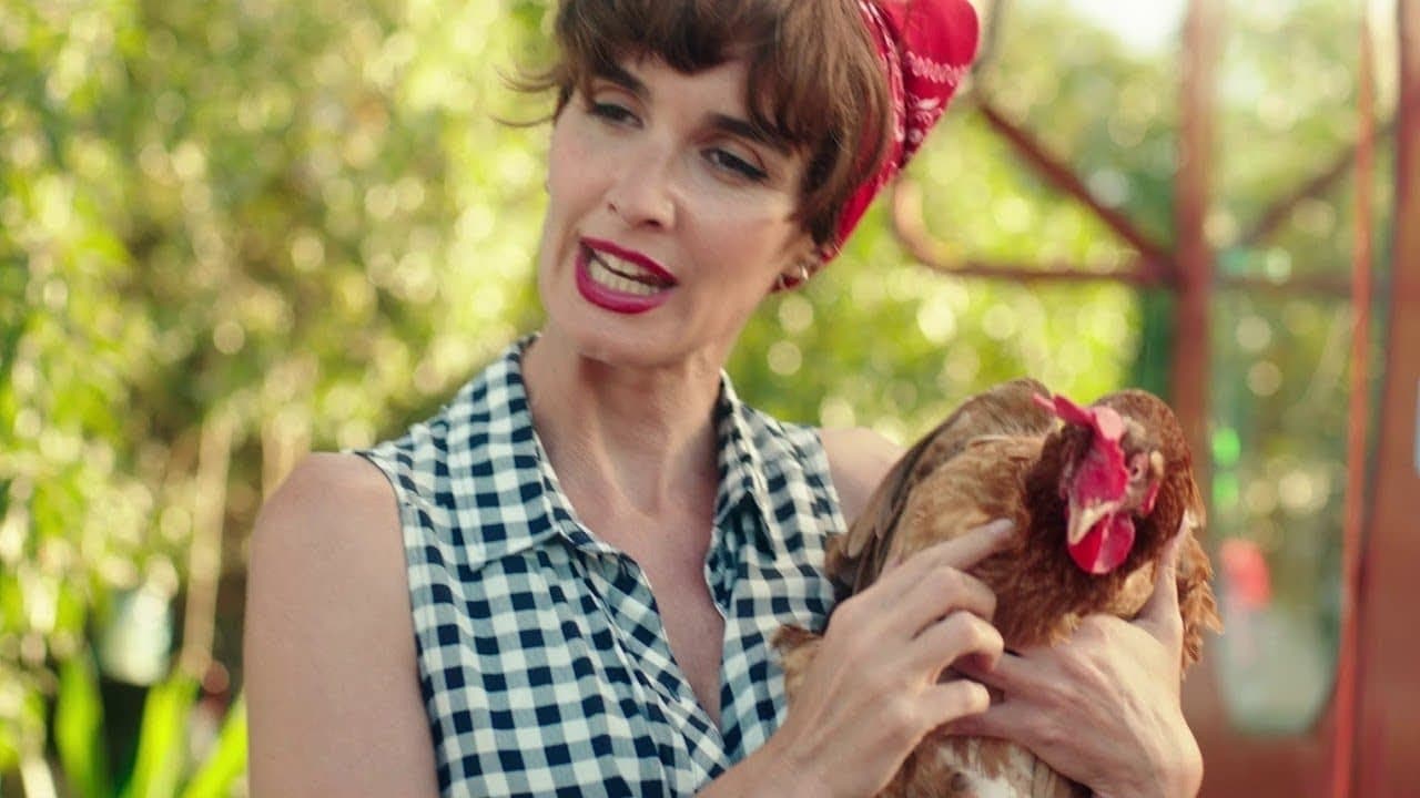 인생은 플라멩코처럼