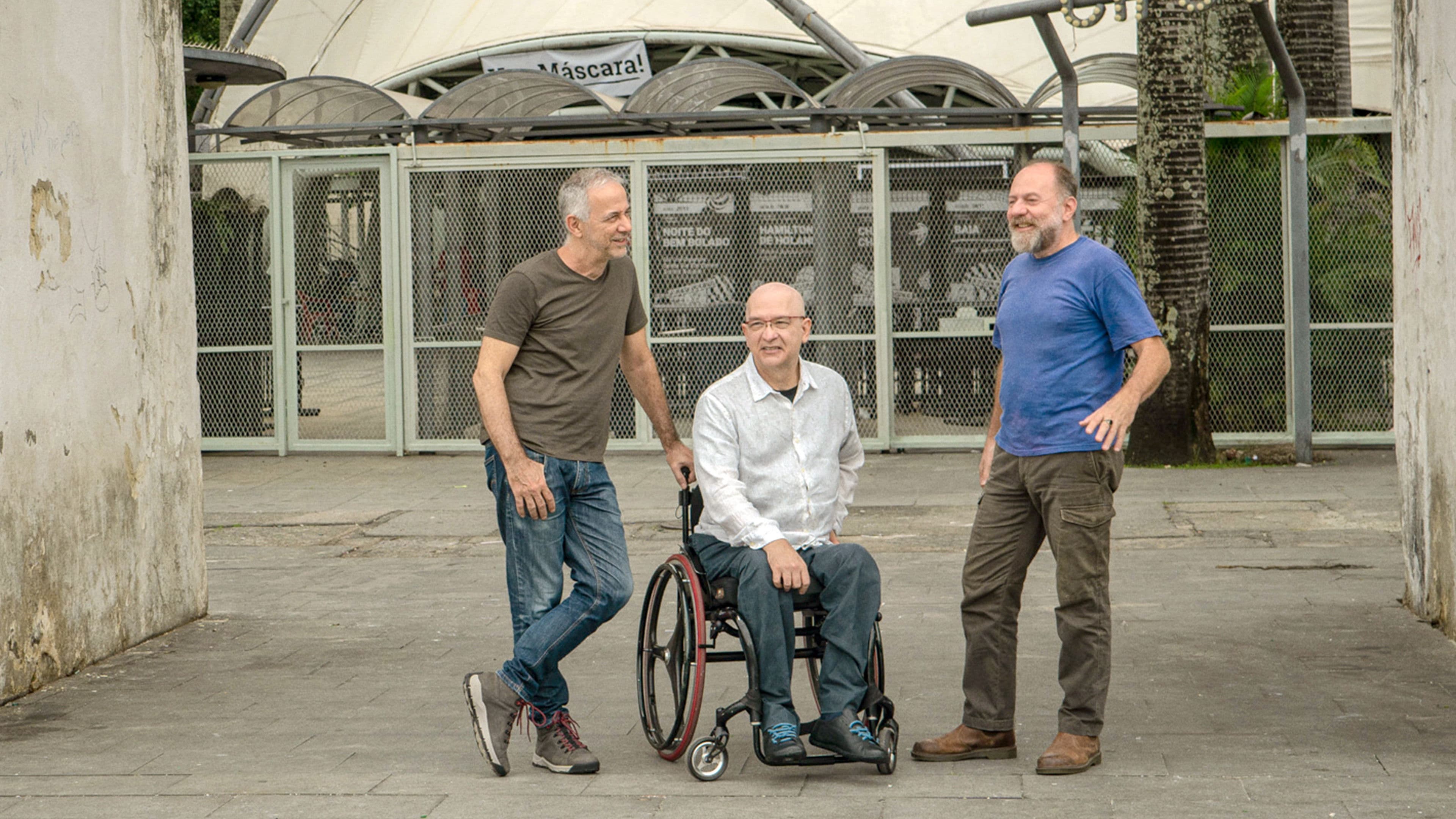 Minha Música, Minha Terra: Os Paralamas do Sucesso