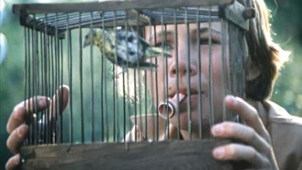 Мементо мори