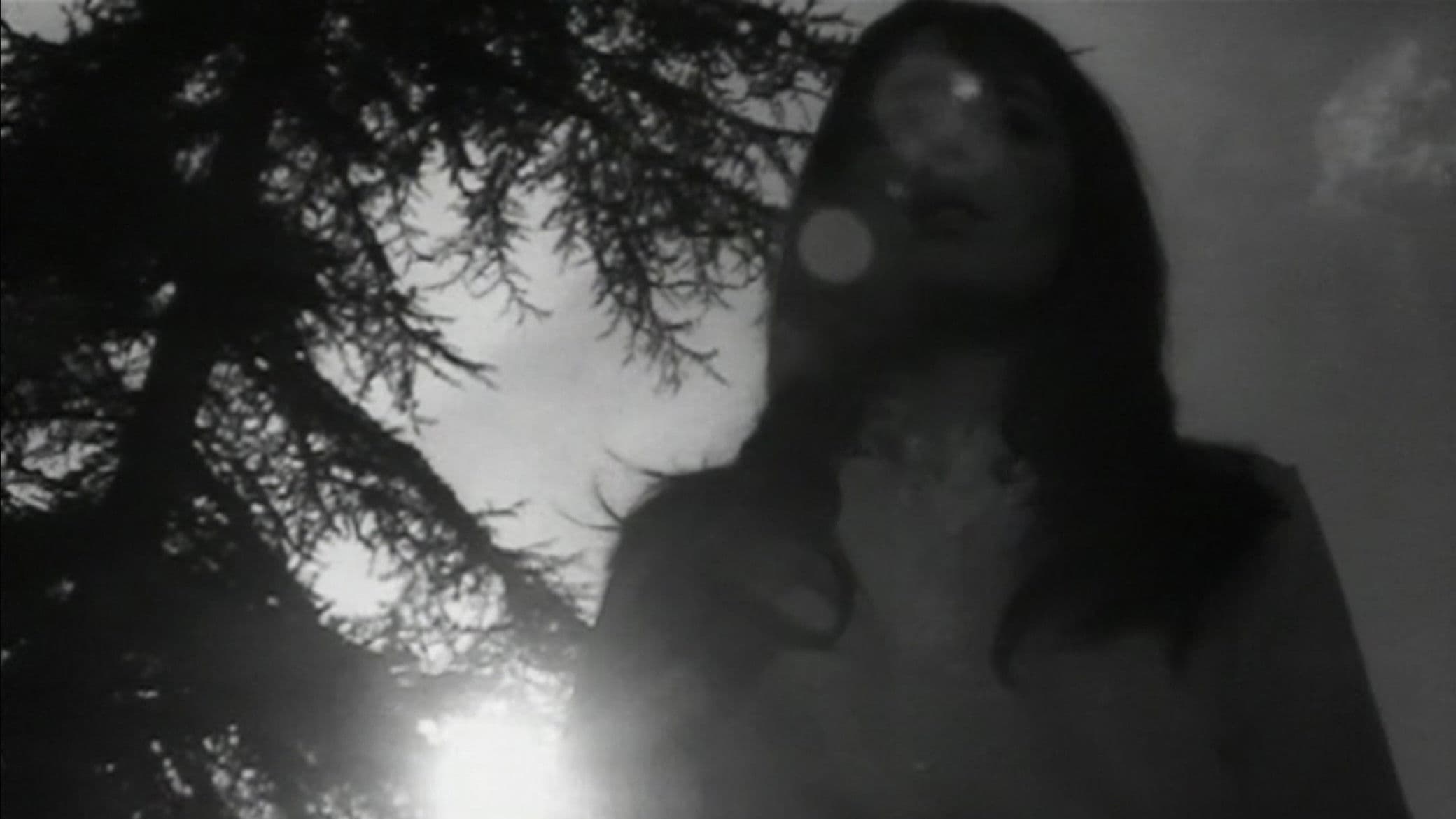 파괴하라, 그녀는 말한다