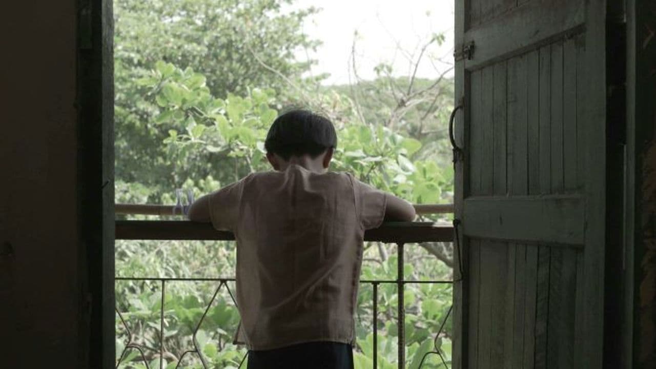 ပြာပြာညိုရောင် မှိုင်းတလဲ့လဲ့