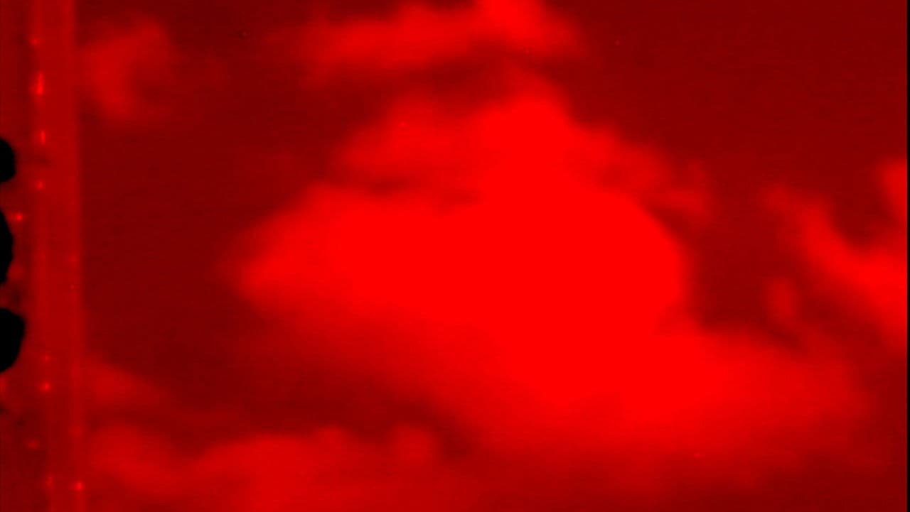 Destrozo las herramientas de mi cautiverio