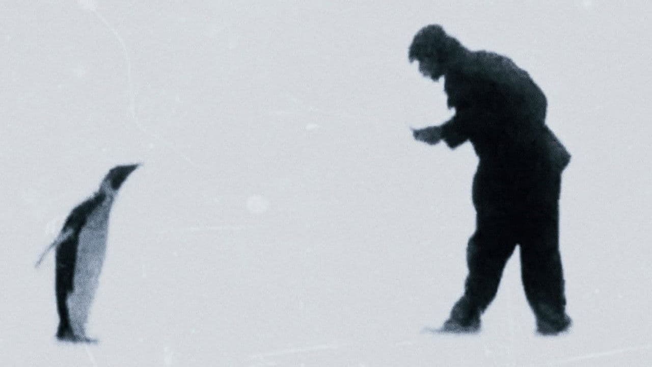 동물, 식물, 광물