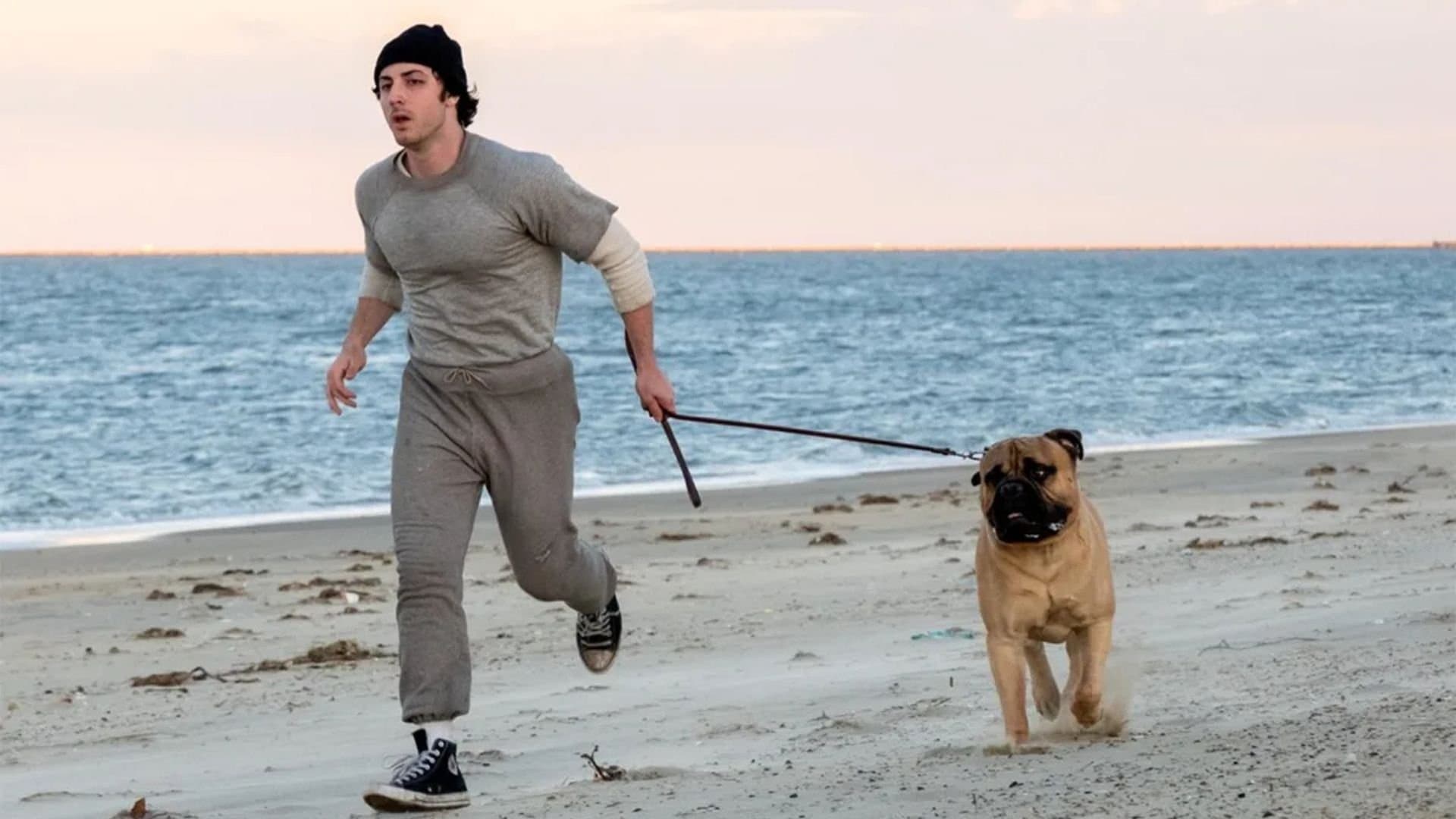 아이 플레이 록키