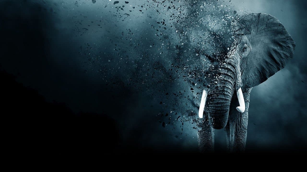 아이보리 게임: 상아 전쟁